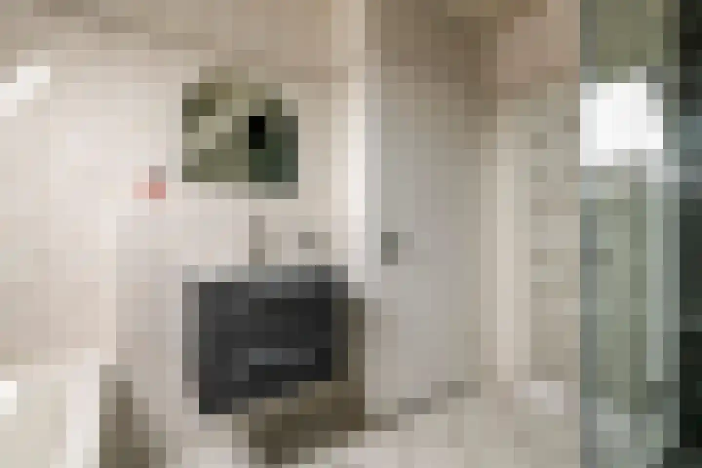 Uiterdijk 15 Zoelen thumbnail 75