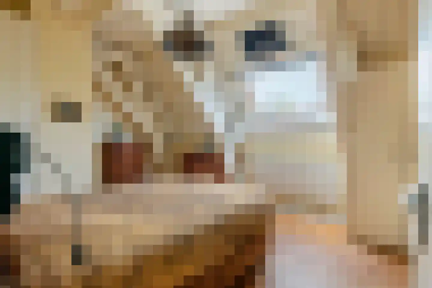 Uiterdijk 15 Zoelen thumbnail 76