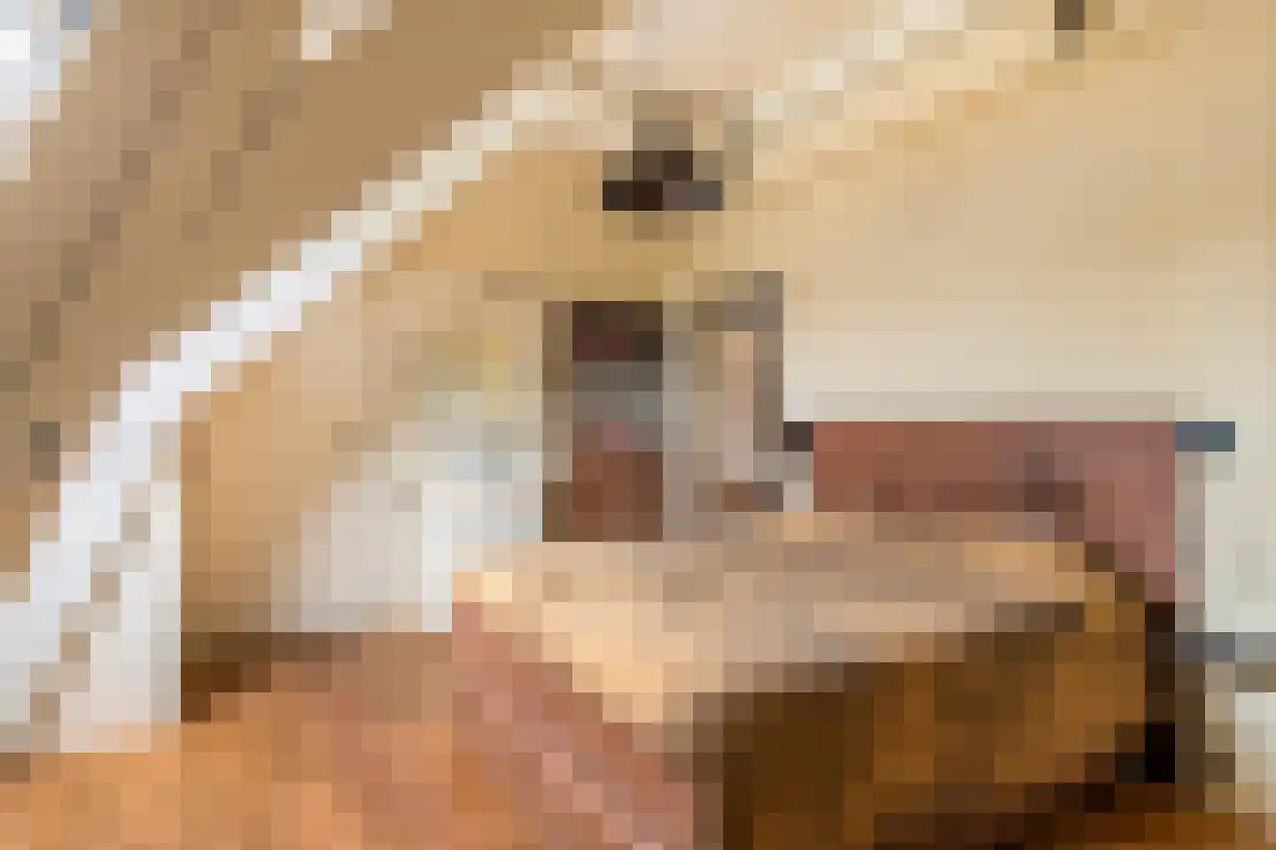 Uiterdijk 15 Zoelen thumbnail 77