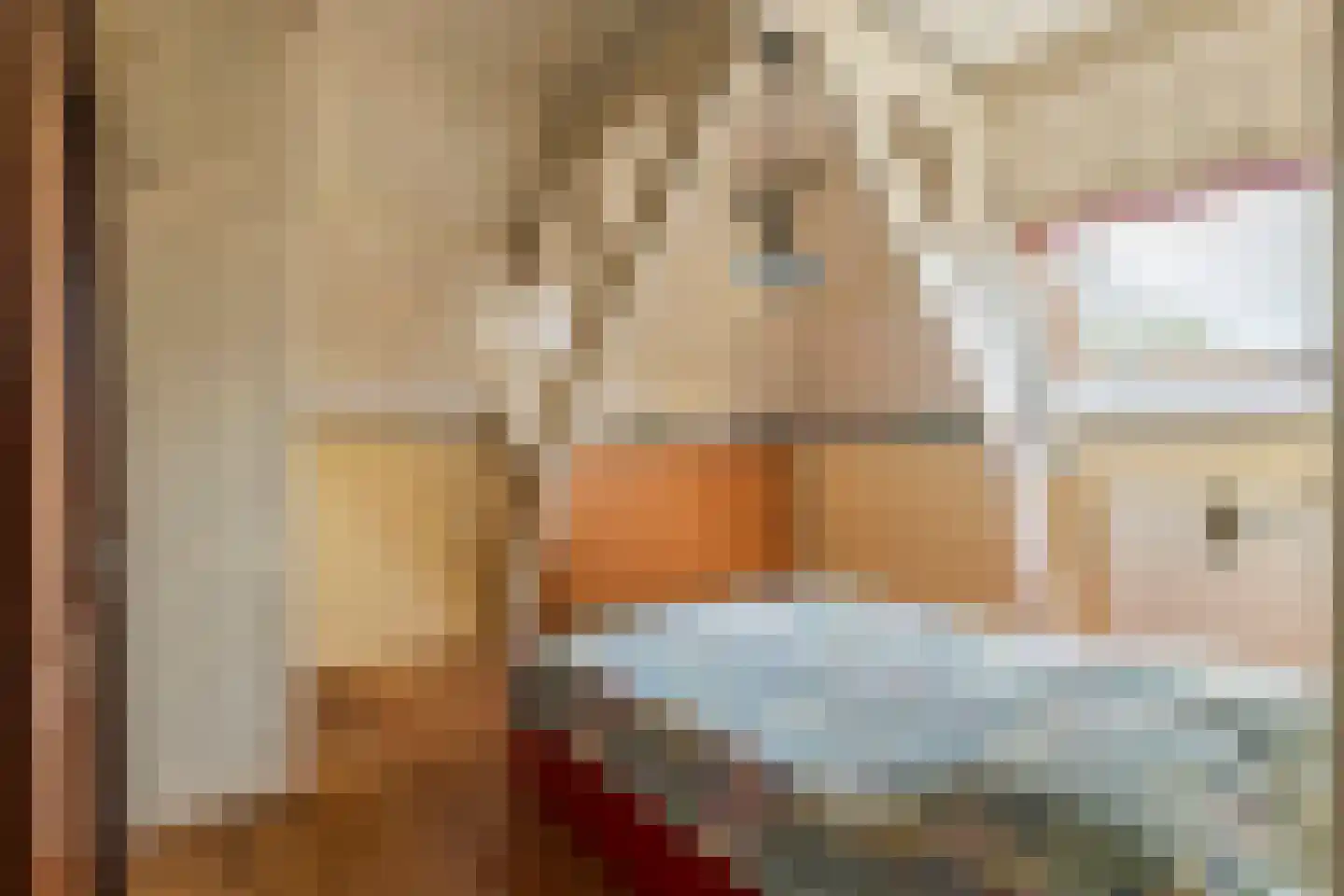 Uiterdijk 15 Zoelen thumbnail 78