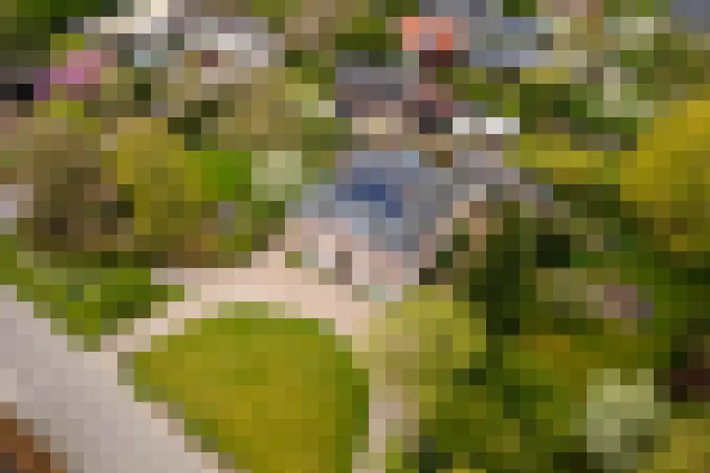 Uiterdijk 15 Zoelen thumbnail 95