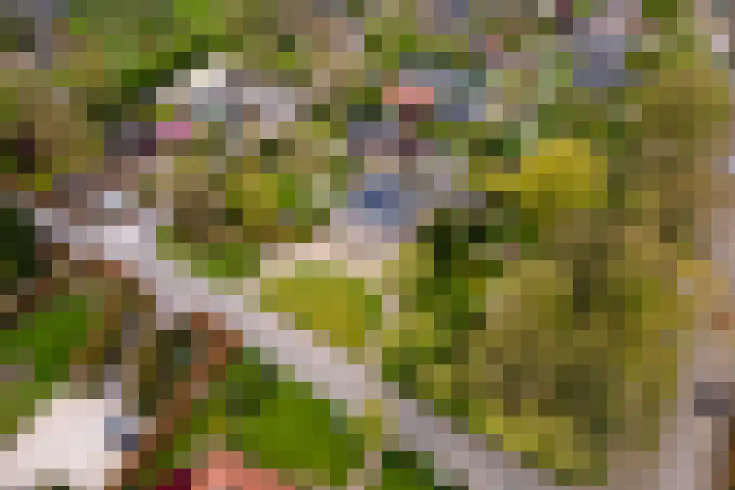 Uiterdijk 15 Zoelen thumbnail 97