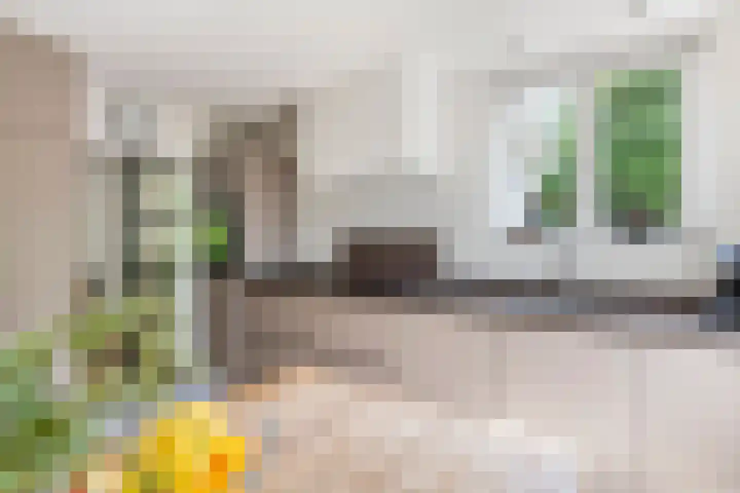 Uiterdijk 2 Geldermalsen thumbnail 19