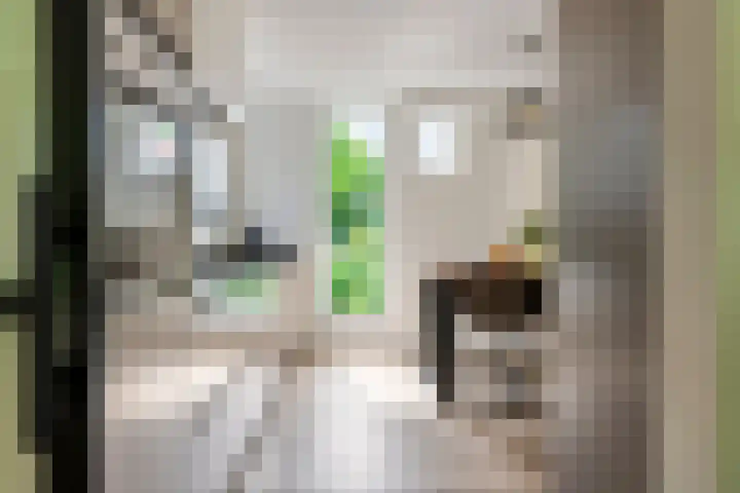 Uiterdijk 2 Geldermalsen thumbnail 23
