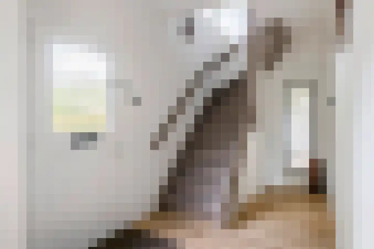 Uiterdijk 2 Geldermalsen thumbnail 25