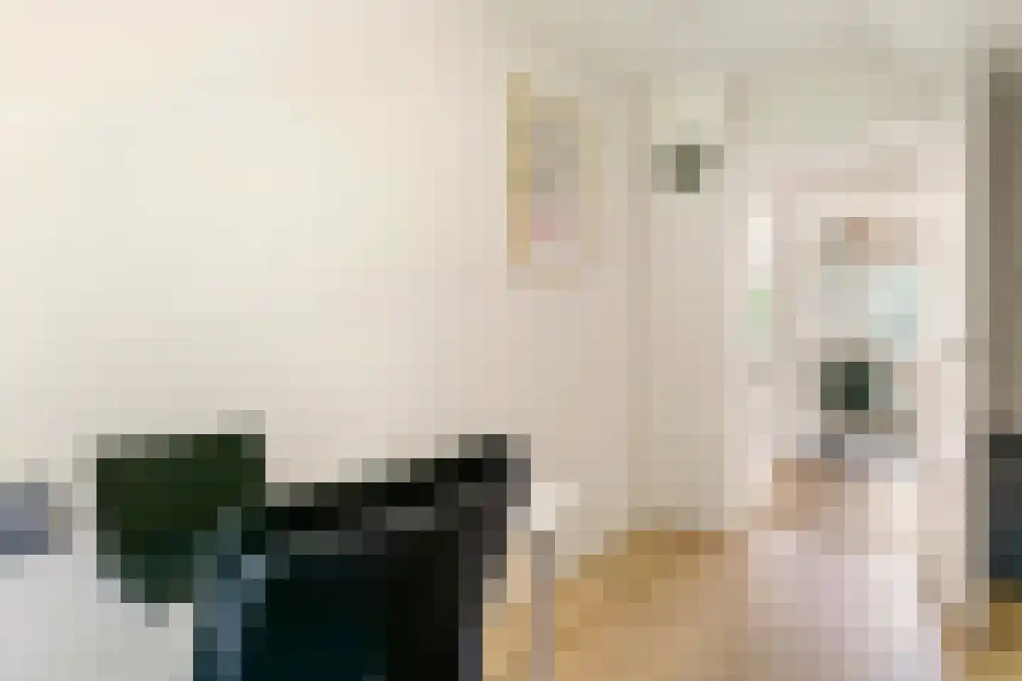 Uiterdijk 2 Geldermalsen thumbnail 28
