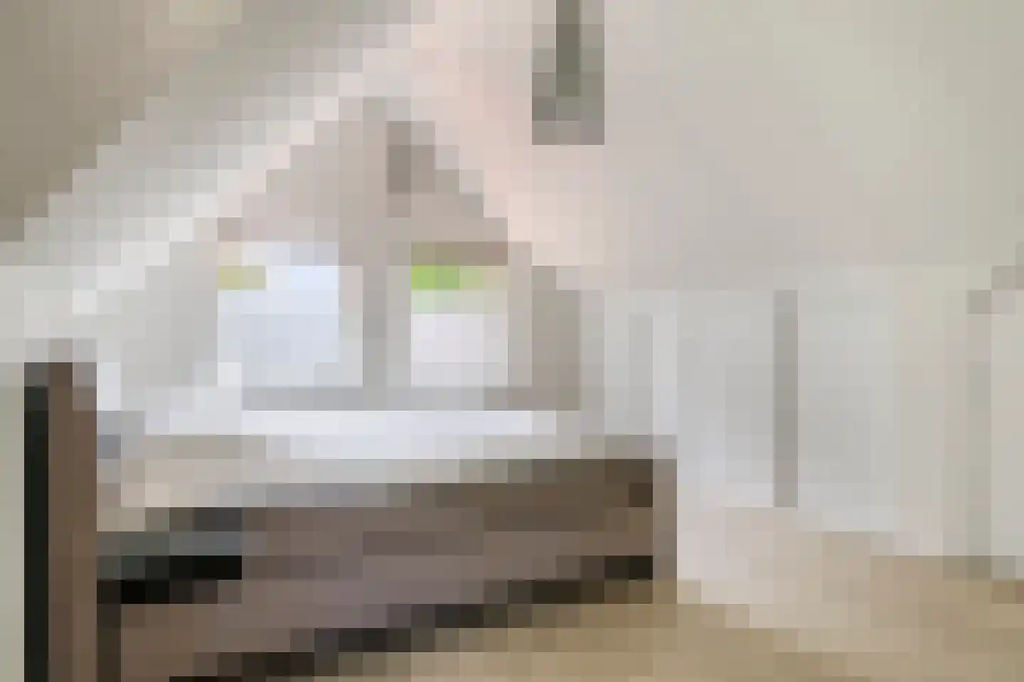 Uiterdijk 2 Geldermalsen thumbnail 30