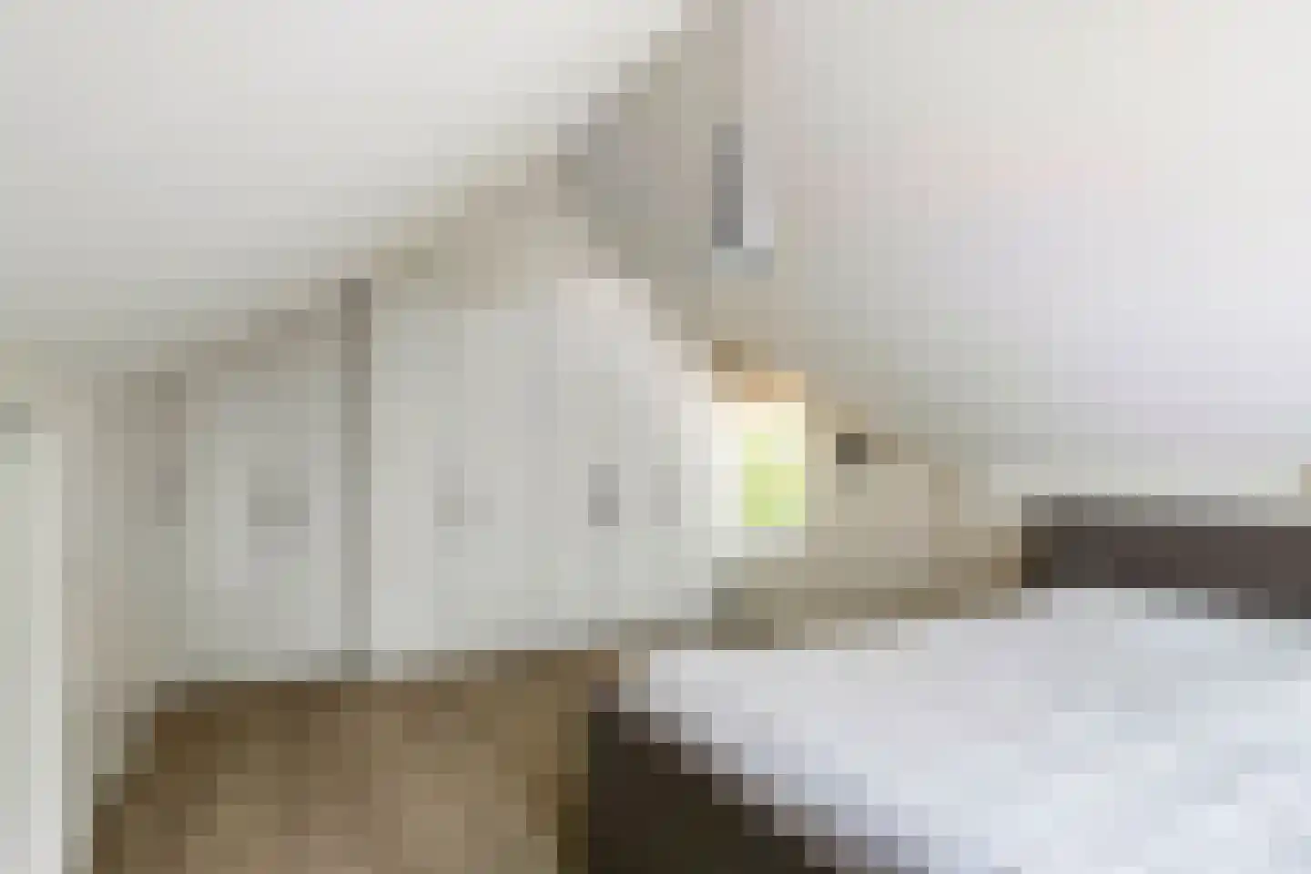 Uiterdijk 2 Geldermalsen thumbnail 31
