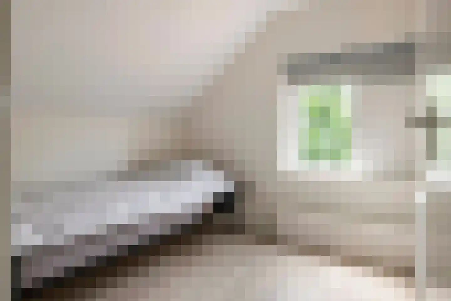 Uiterdijk 2 Geldermalsen thumbnail 32
