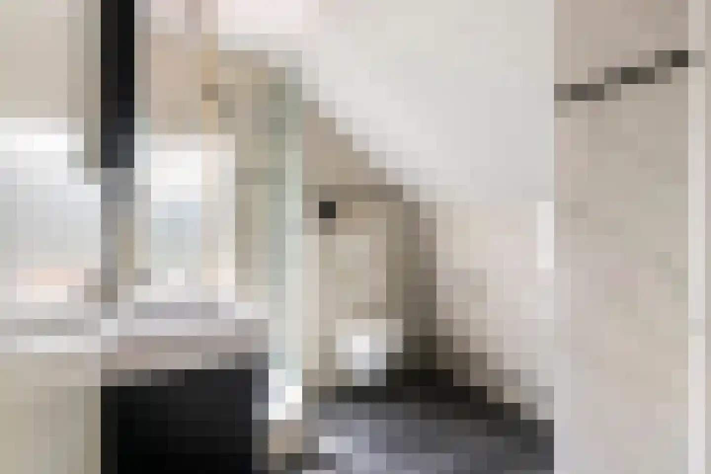 Uiterdijk 2 Geldermalsen thumbnail 33