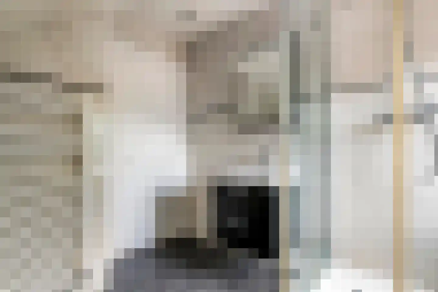 Uiterdijk 2 Geldermalsen thumbnail 34