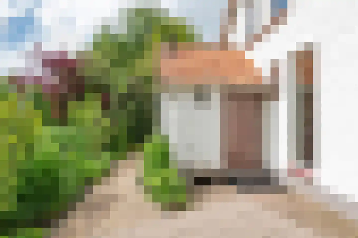 Uiterdijk 2 Geldermalsen thumbnail 37