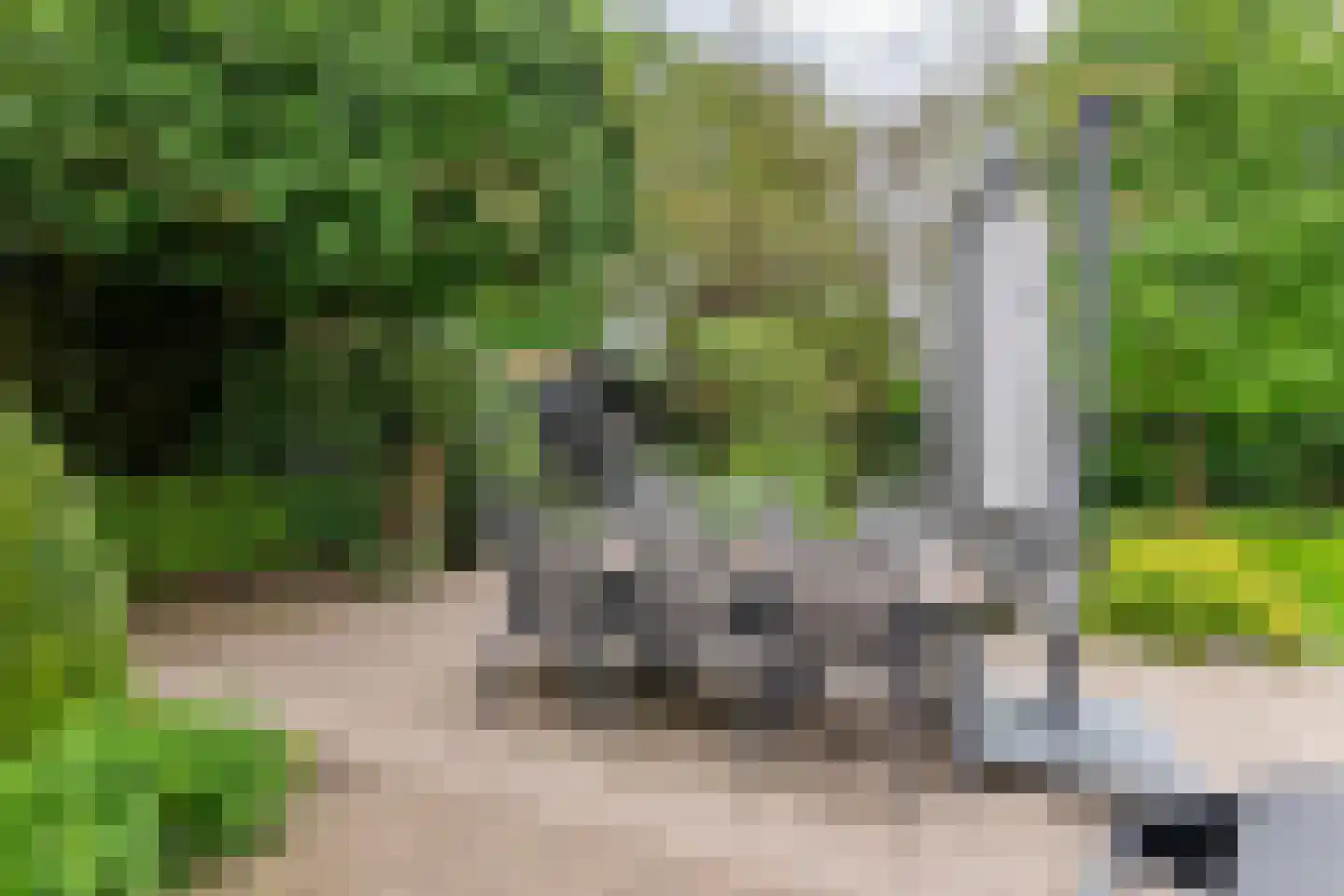 Uiterdijk 2 Geldermalsen thumbnail 38