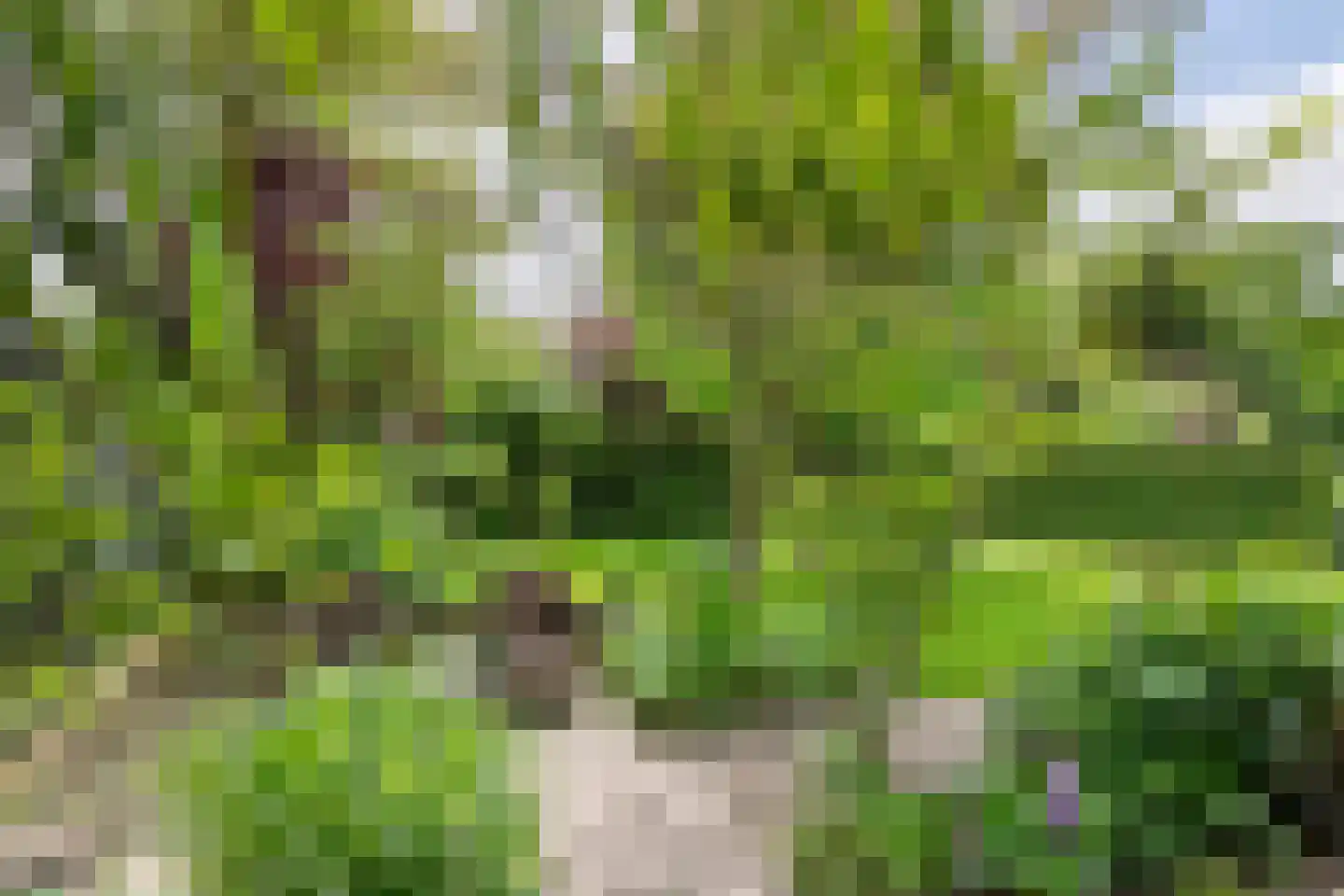 Uiterdijk 2 Geldermalsen thumbnail 39