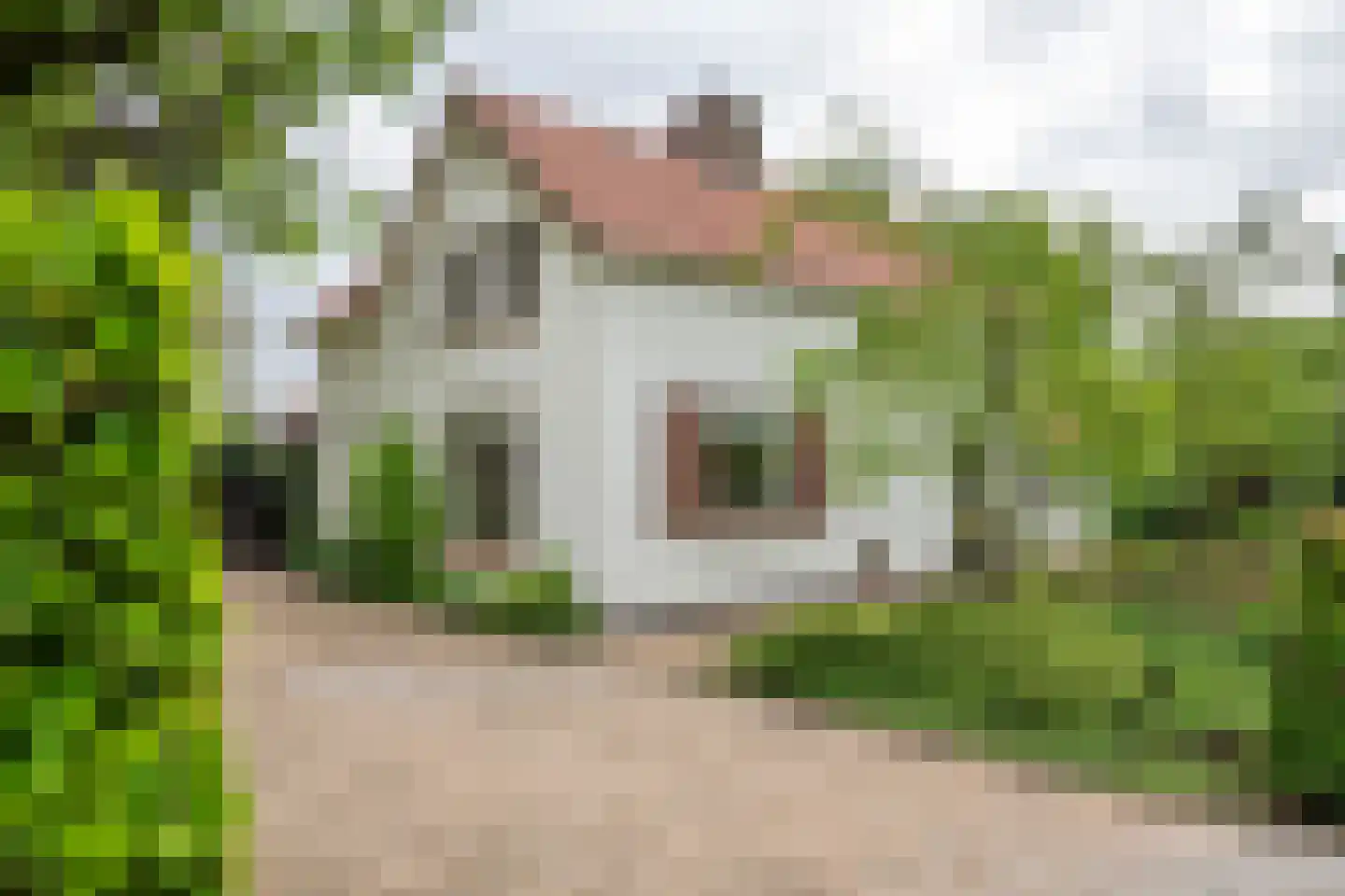 Uiterdijk 2 Geldermalsen thumbnail 4