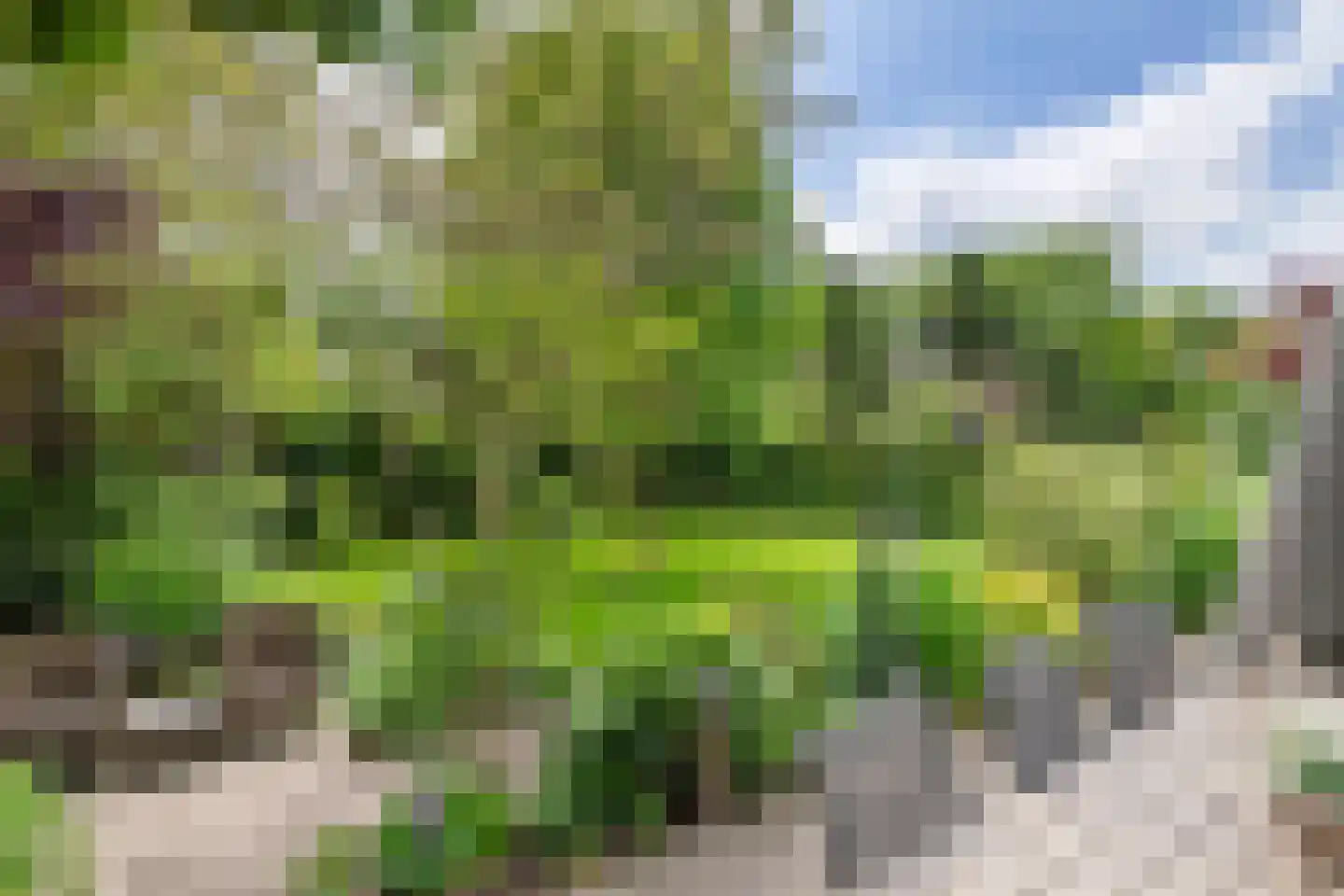 Uiterdijk 2 Geldermalsen thumbnail 40