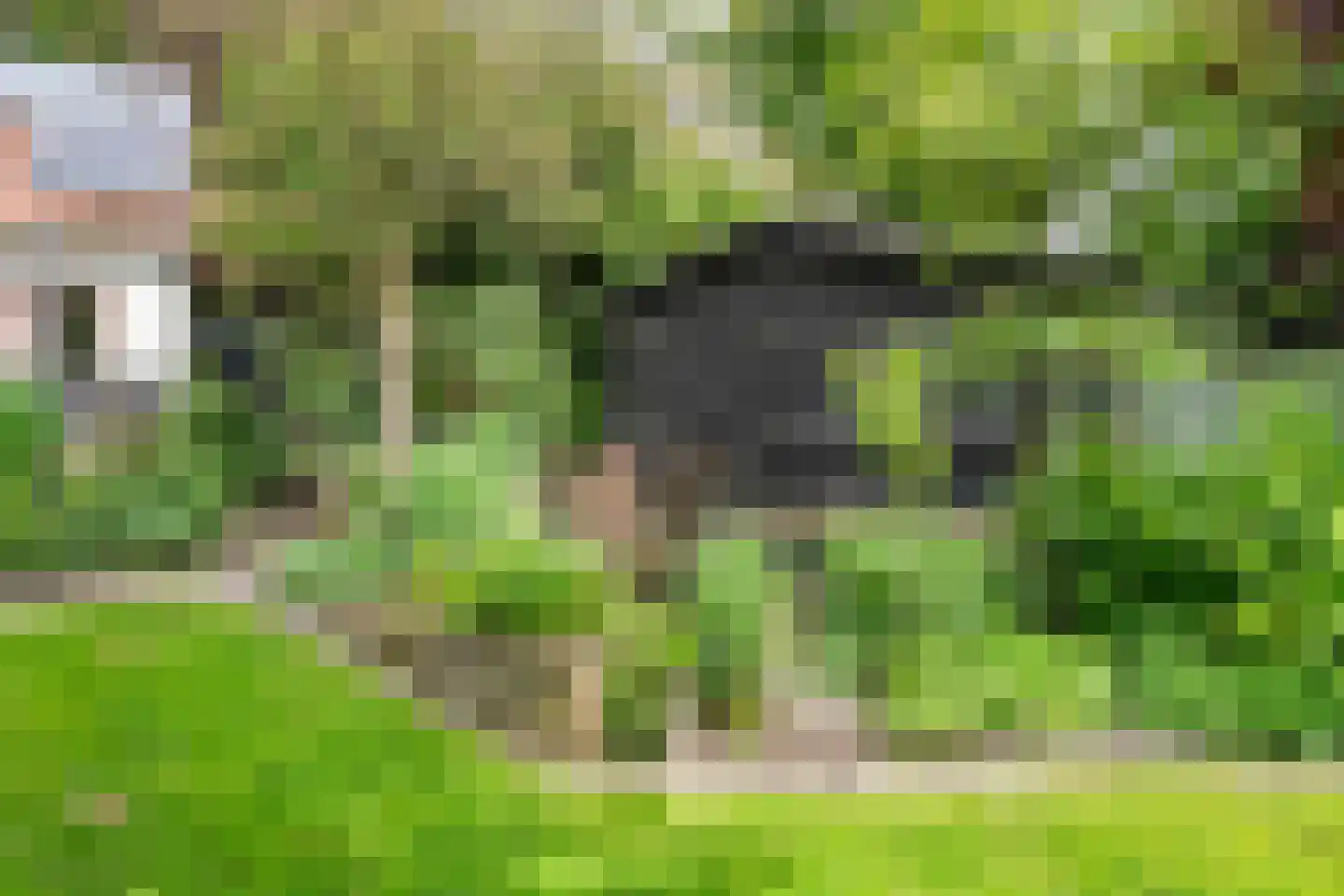 Uiterdijk 2 Geldermalsen thumbnail 41