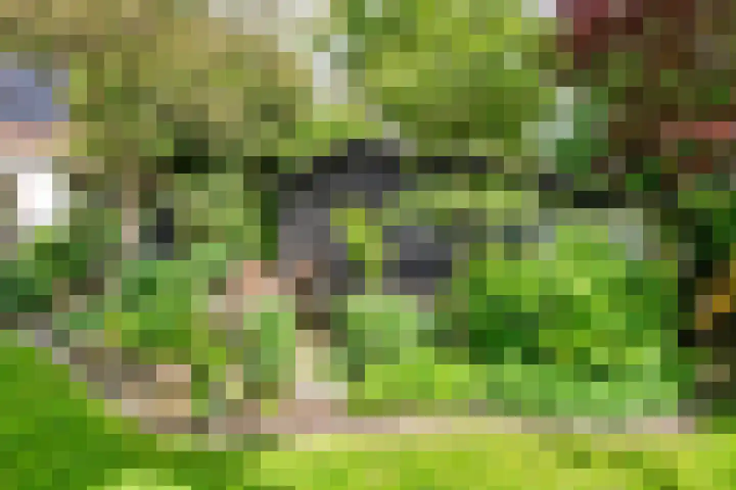 Uiterdijk 2 Geldermalsen thumbnail 42