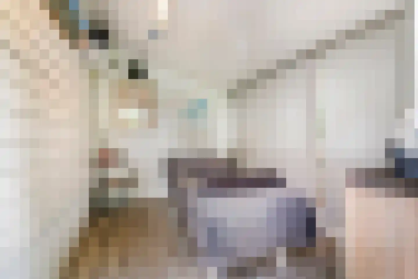 Uiterdijk 2 Geldermalsen thumbnail 43