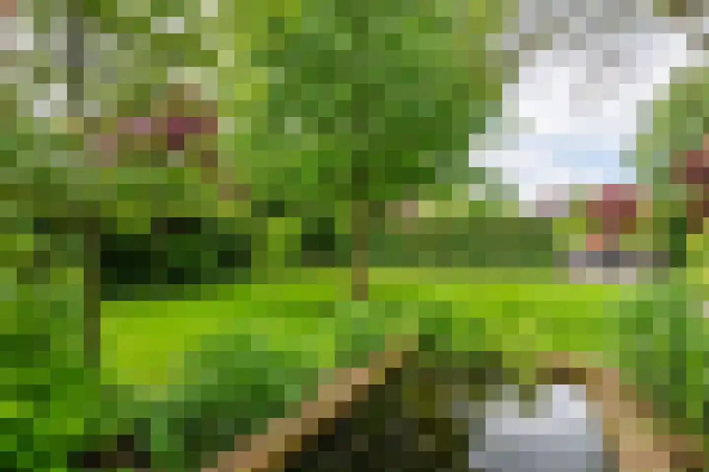 Uiterdijk 2 Geldermalsen thumbnail 44