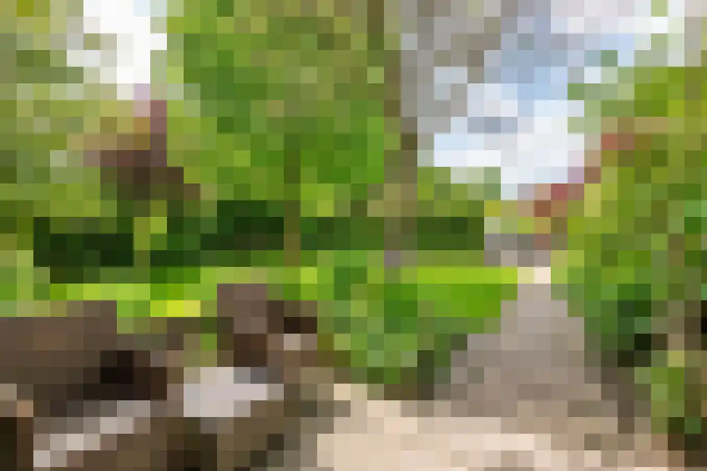 Uiterdijk 2 Geldermalsen thumbnail 45
