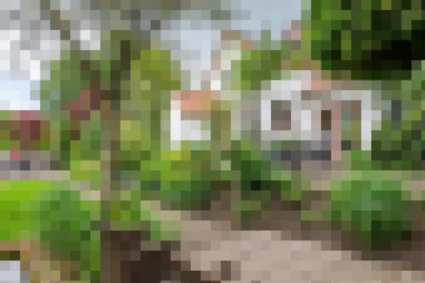Uiterdijk 2 Geldermalsen thumbnail 46