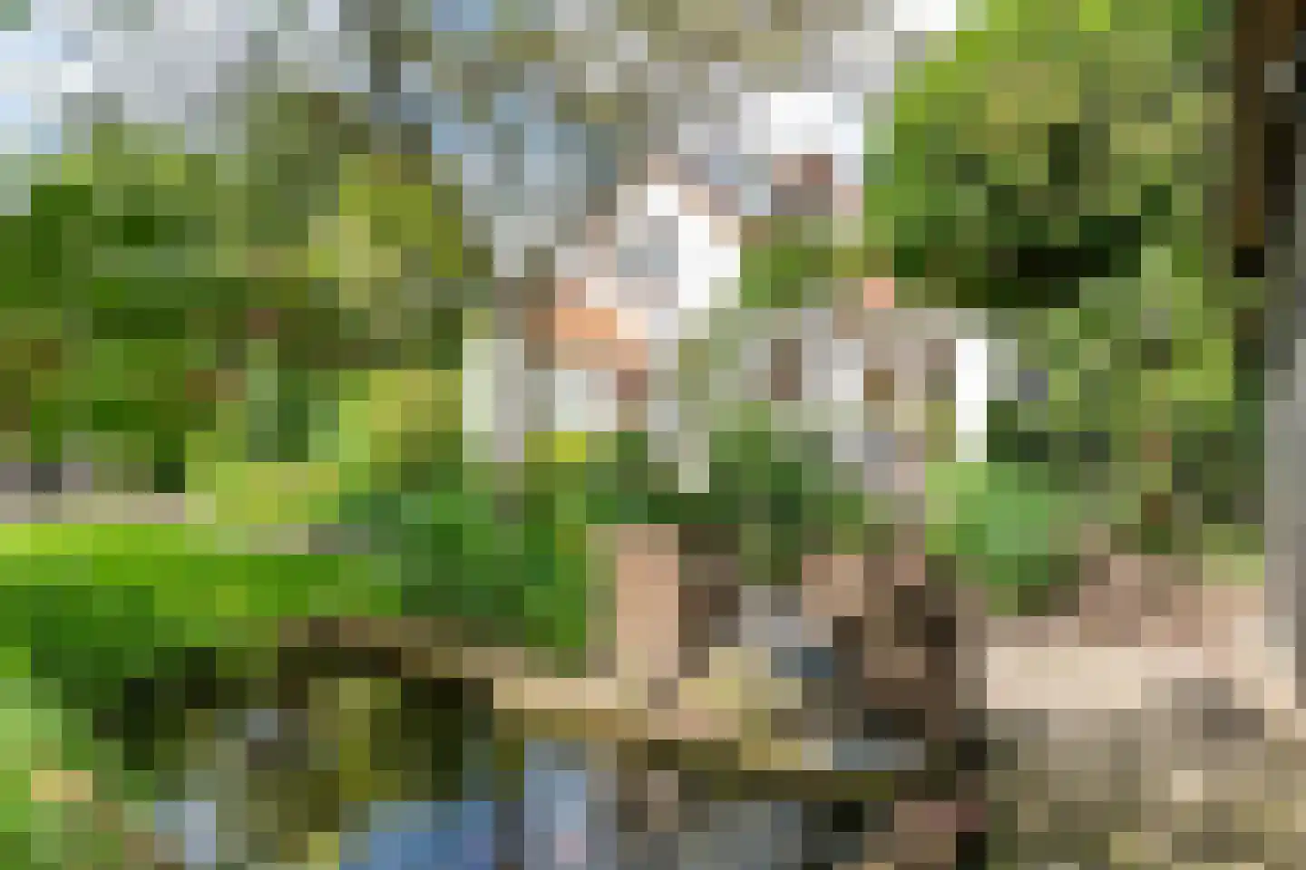 Uiterdijk 2 Geldermalsen thumbnail 47