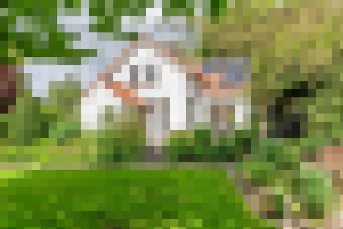 Uiterdijk 2 Geldermalsen thumbnail 48