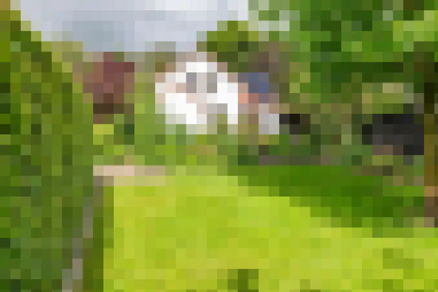 Uiterdijk 2 Geldermalsen thumbnail 49