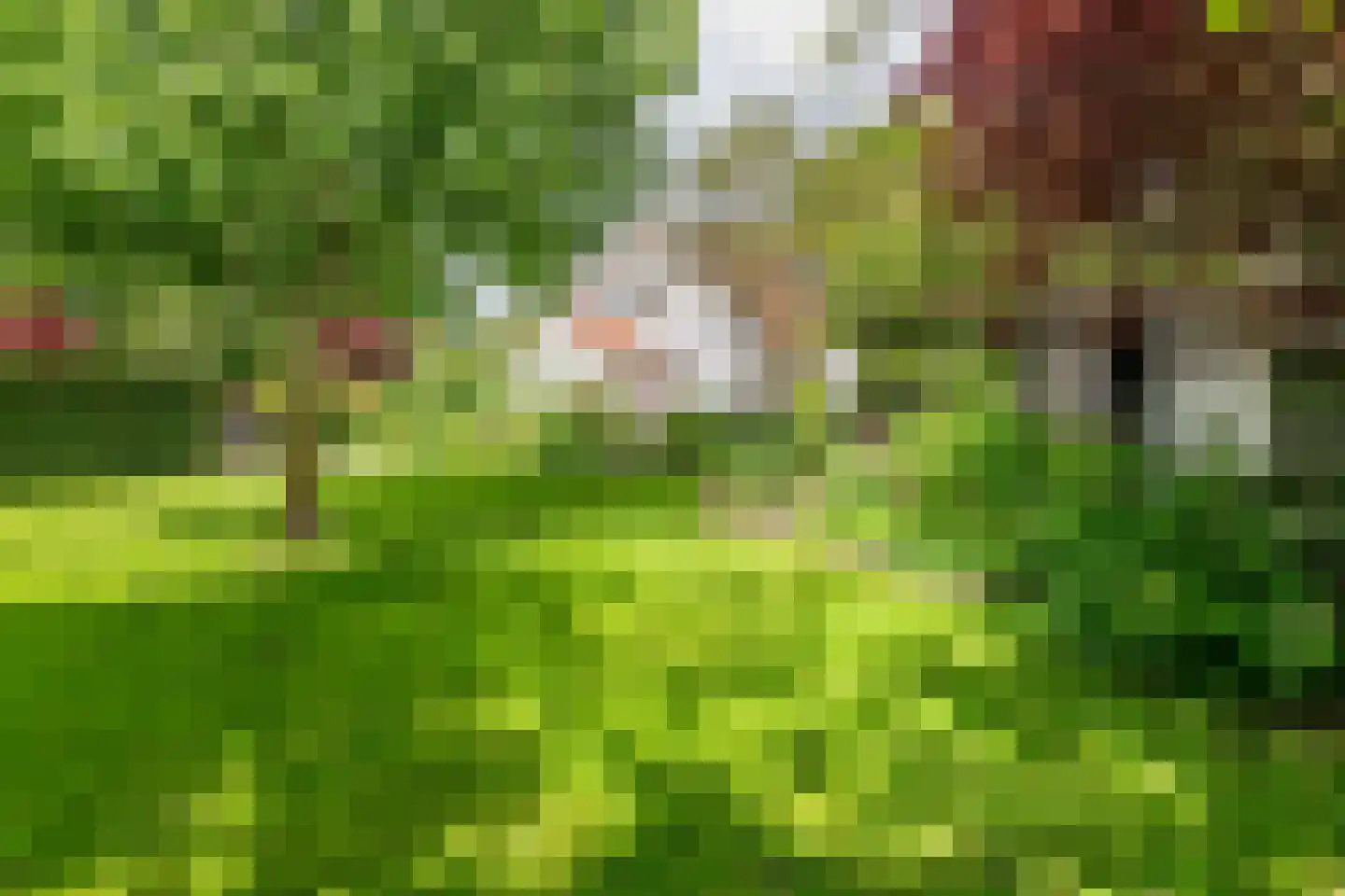 Uiterdijk 2 Geldermalsen thumbnail 50