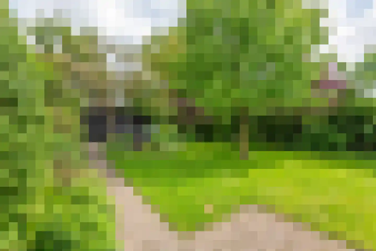 Uiterdijk 2 Geldermalsen thumbnail 51