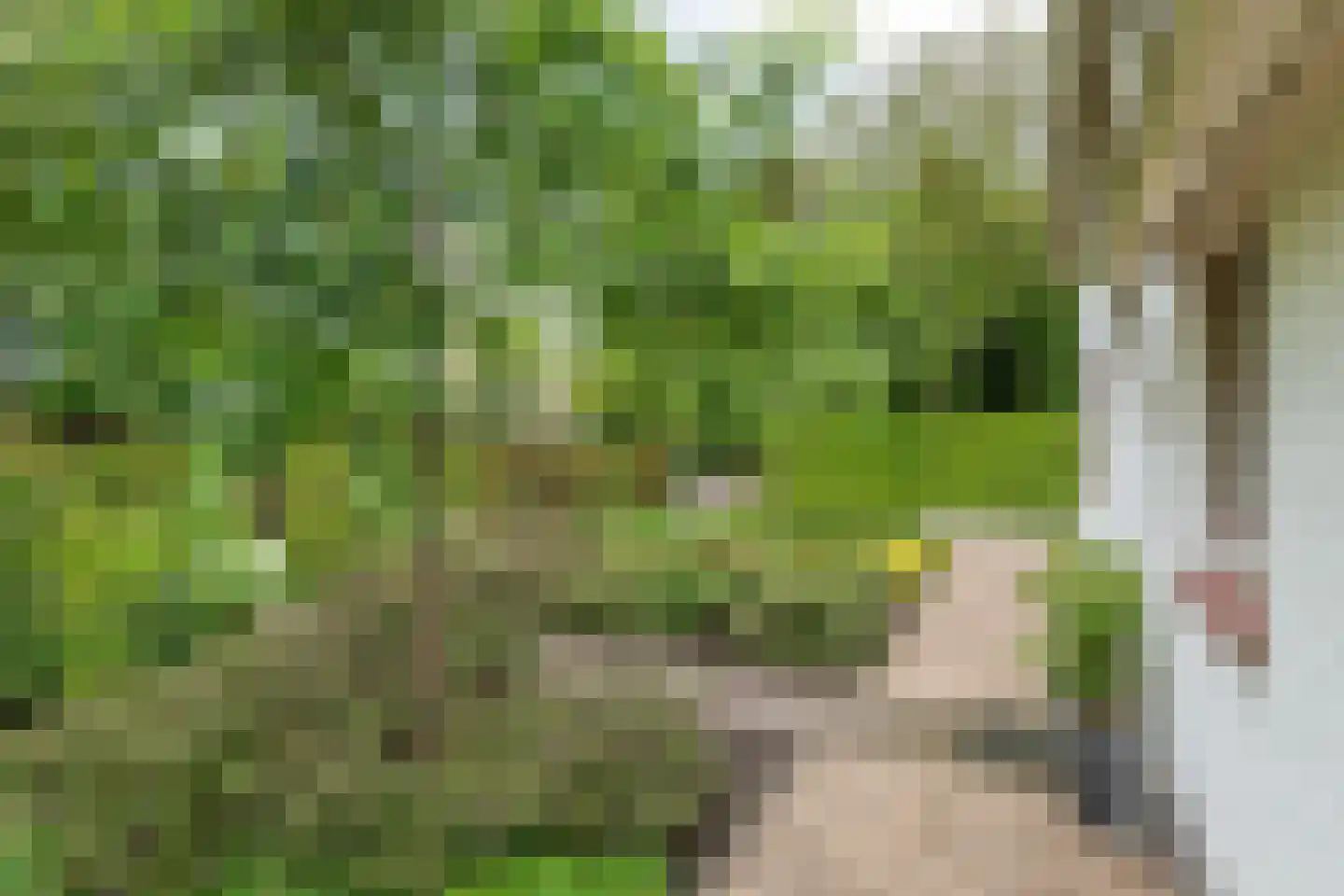 Uiterdijk 2 Geldermalsen thumbnail 52