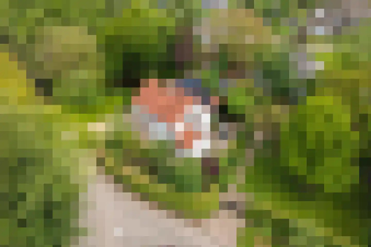 Uiterdijk 2 Geldermalsen thumbnail 54