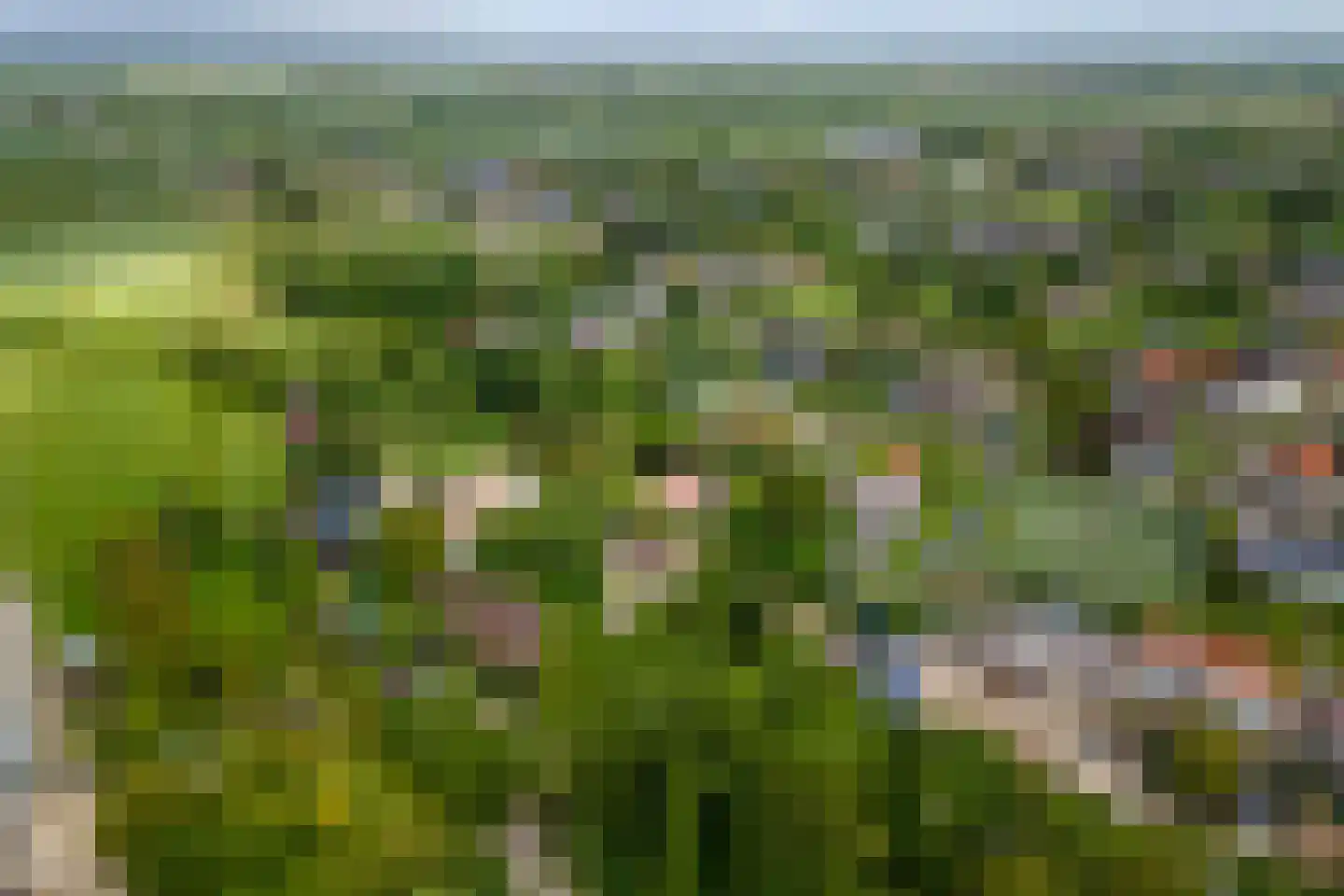 Uiterdijk 2 Geldermalsen thumbnail 56