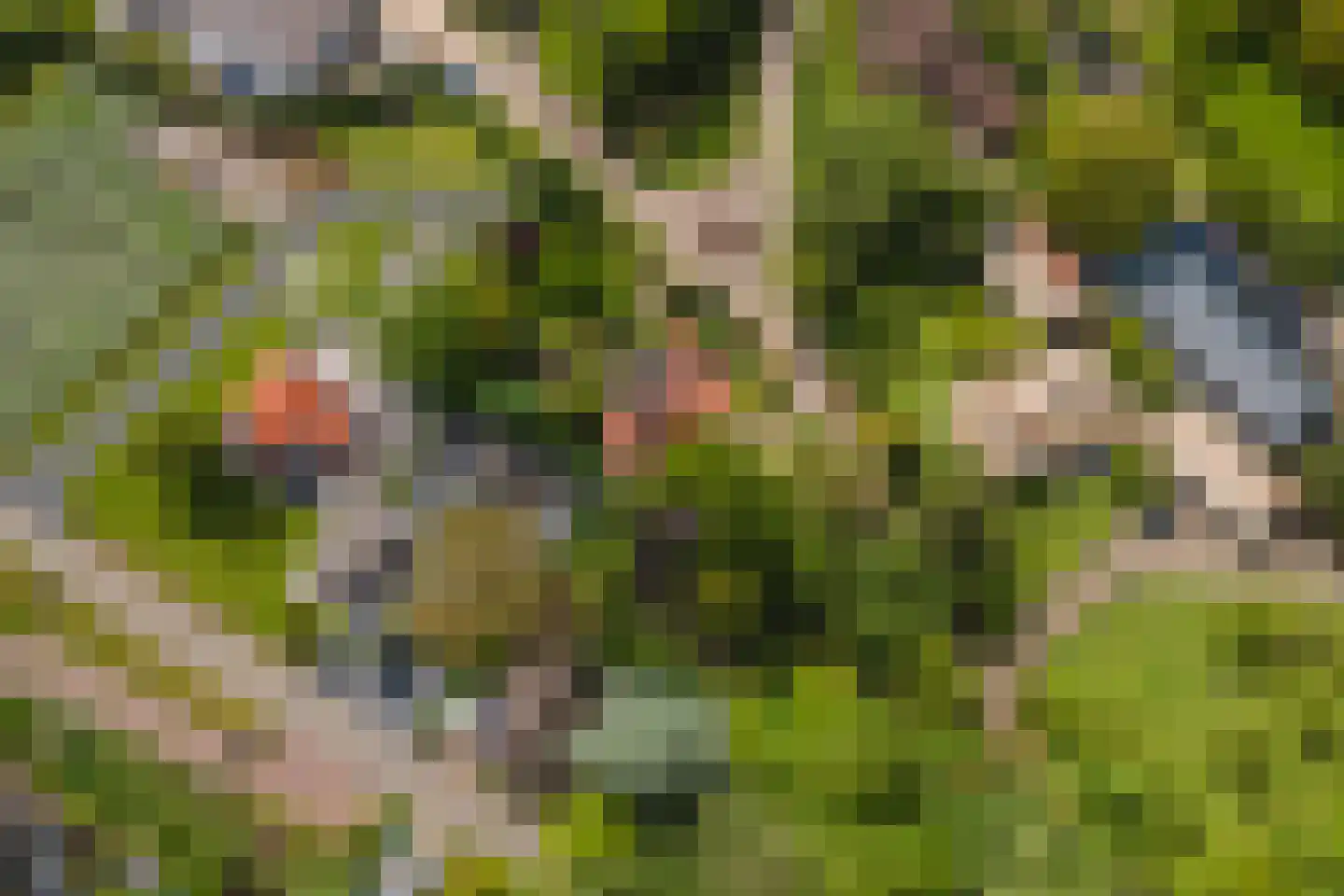 Uiterdijk 2 Geldermalsen thumbnail 57