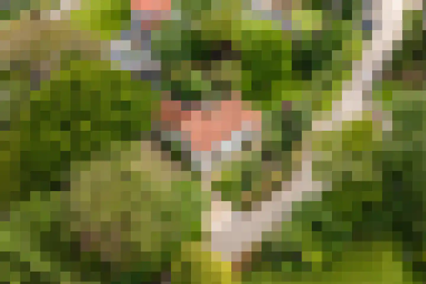 Uiterdijk 2 Geldermalsen thumbnail 58