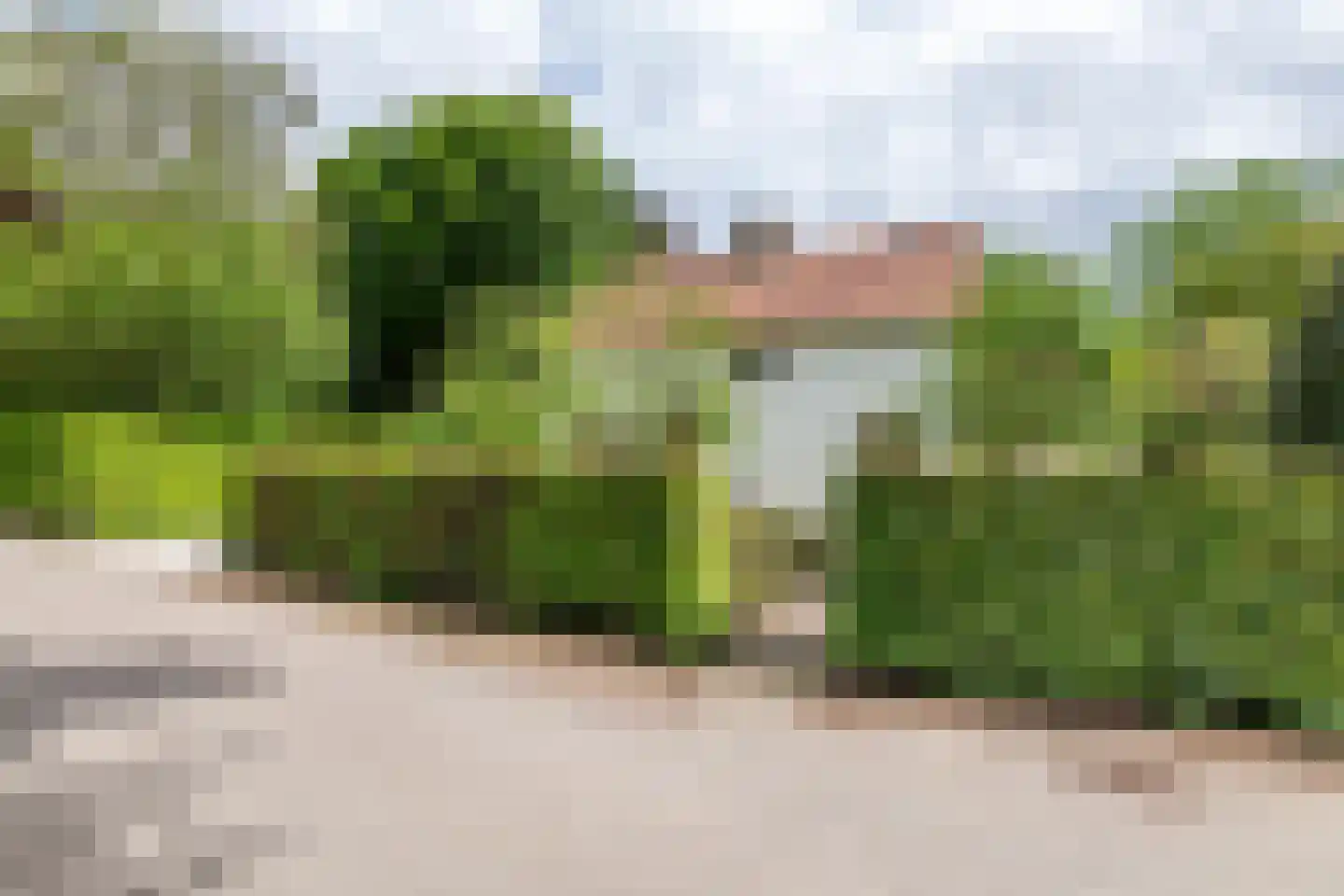 Uiterdijk 2 Geldermalsen thumbnail 59