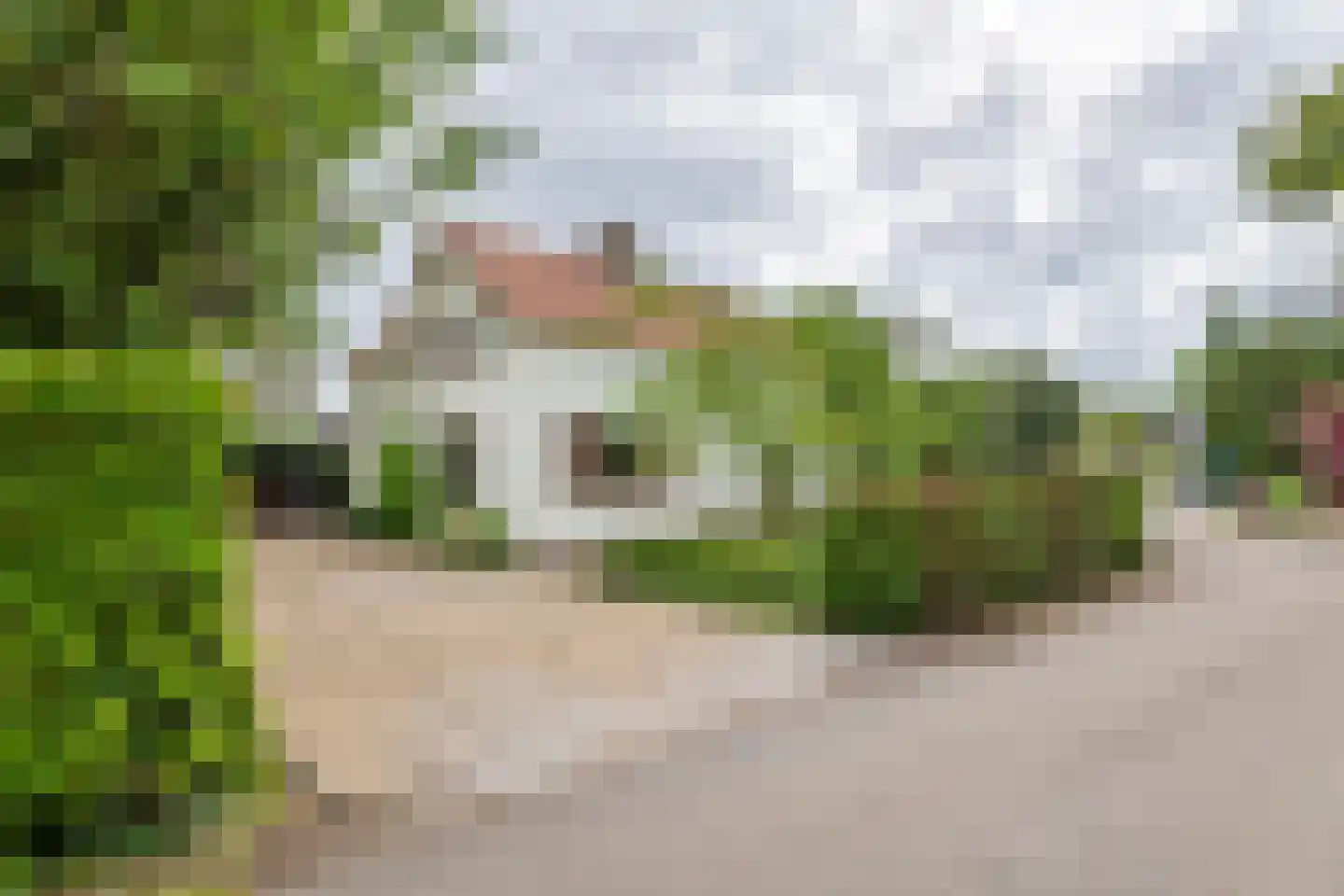 Uiterdijk 2 Geldermalsen thumbnail 60