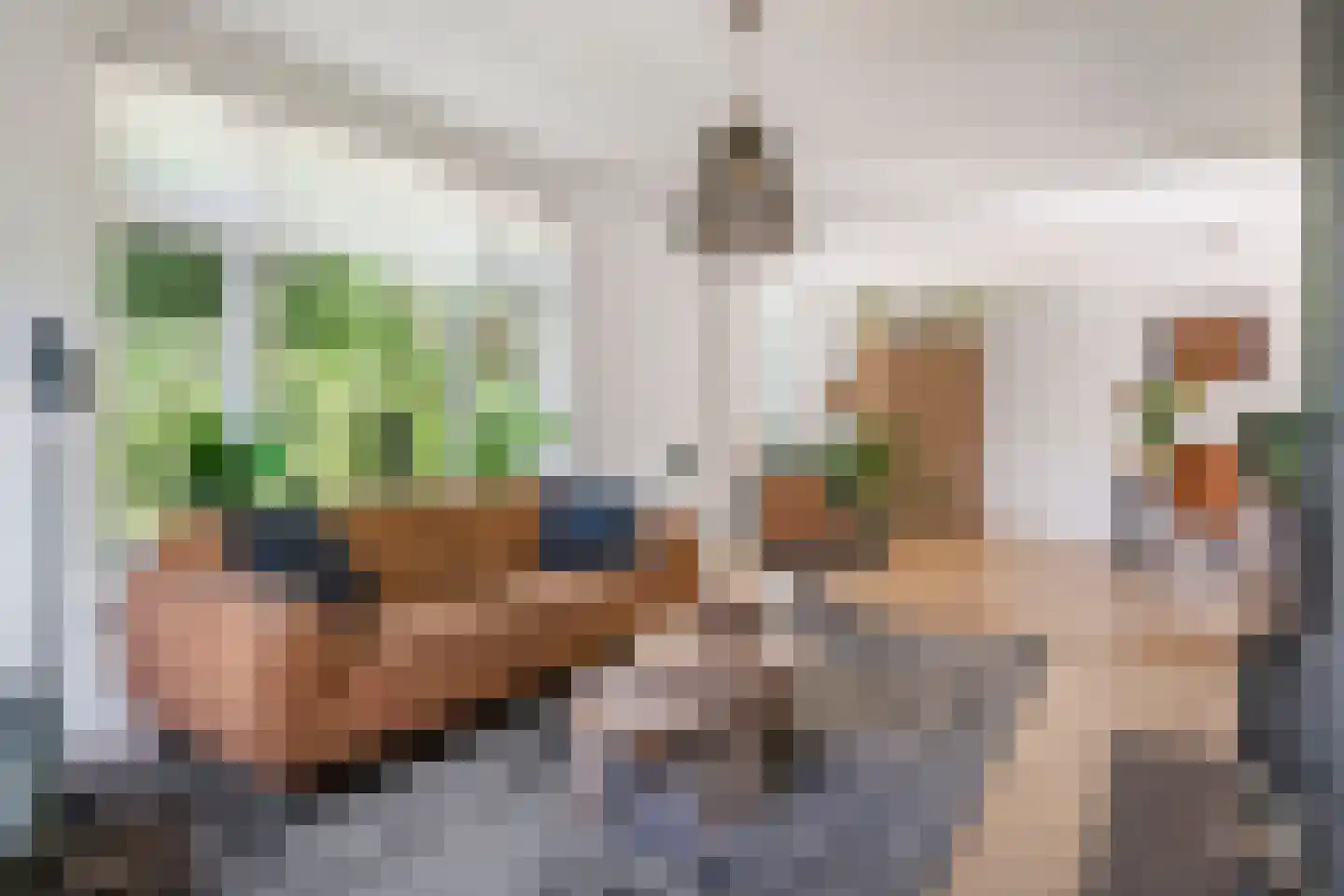 Uiterdijk 2 Geldermalsen thumbnail 7