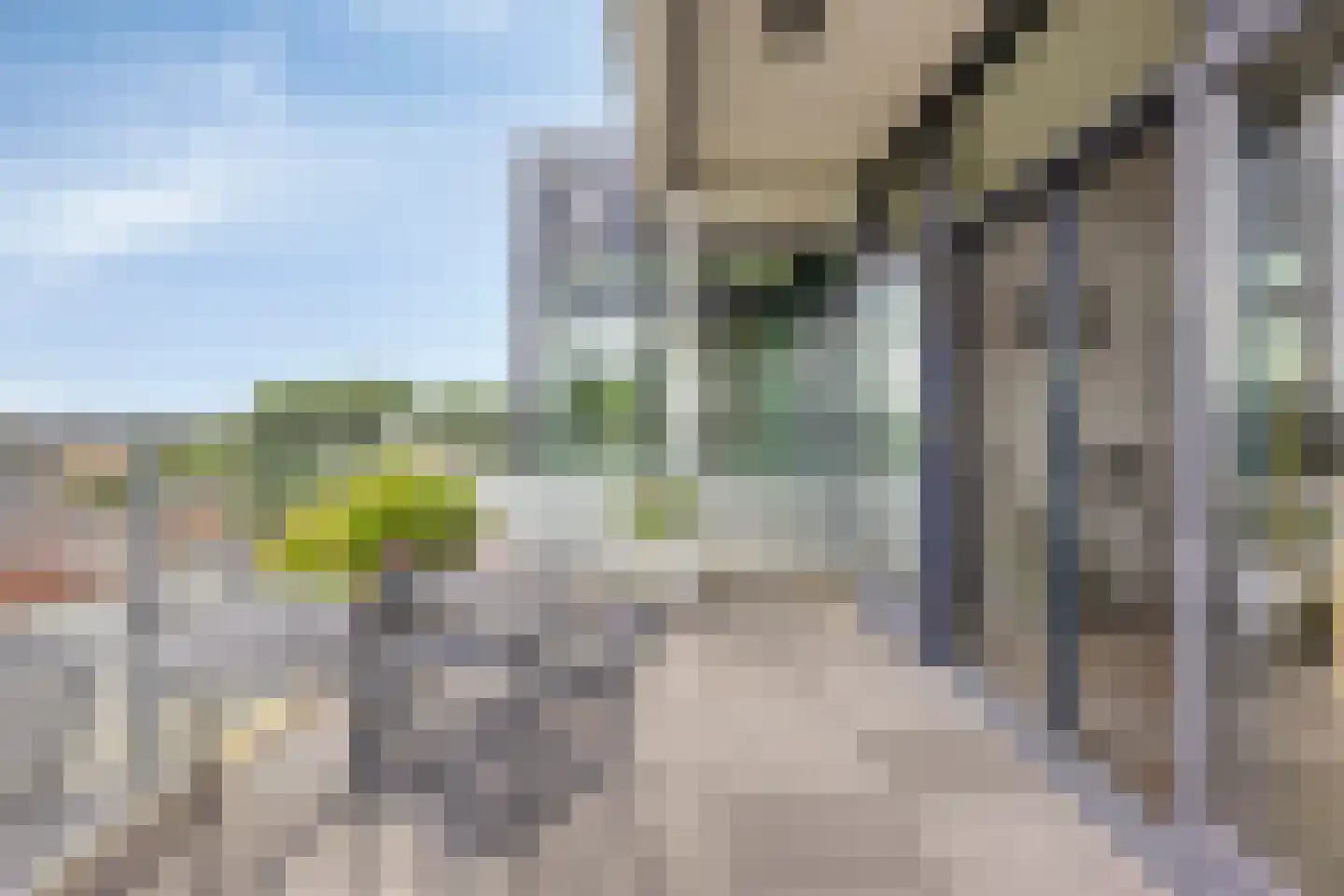 Uiterdijk 225 Pernis Rotterdam thumbnail 31