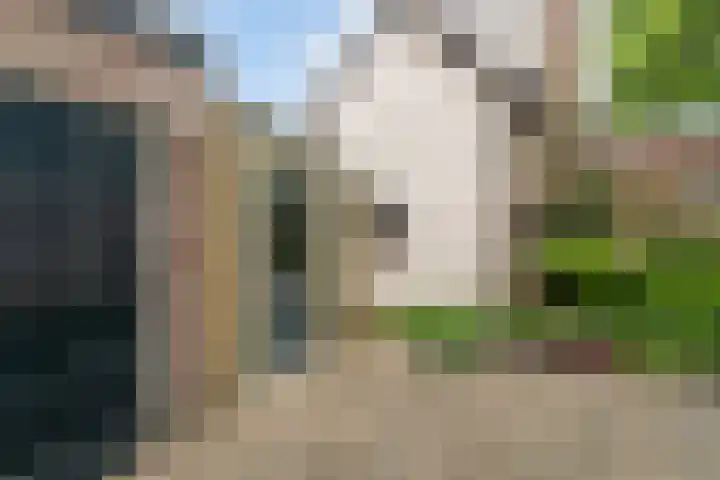 Uiterdijk 27 Pernis Rotterdam thumbnail 30