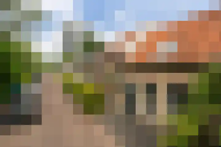 Uiterdijk 27 Pernis Rotterdam thumbnail 32