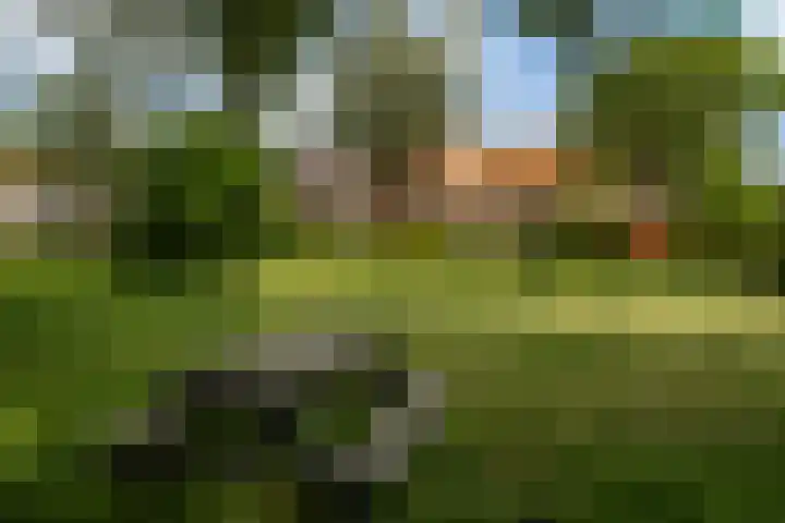 Uiterdijk 27 Pernis Rotterdam thumbnail 33