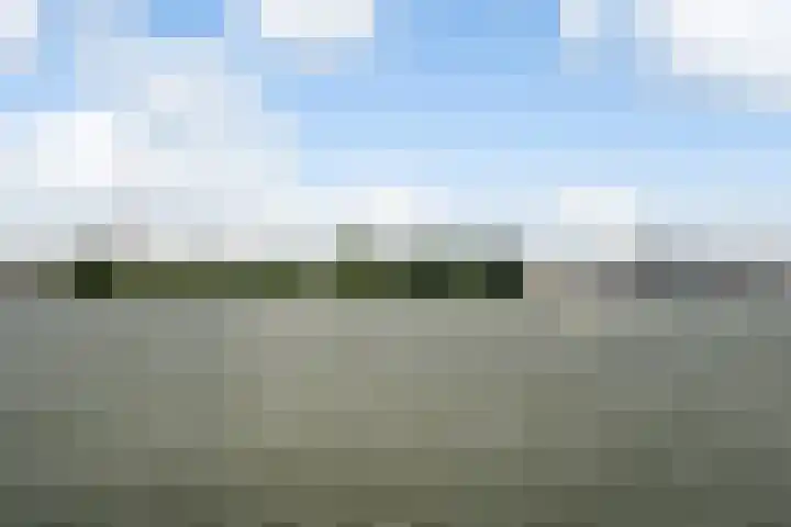 Uiterdijk 27 Pernis Rotterdam thumbnail 37