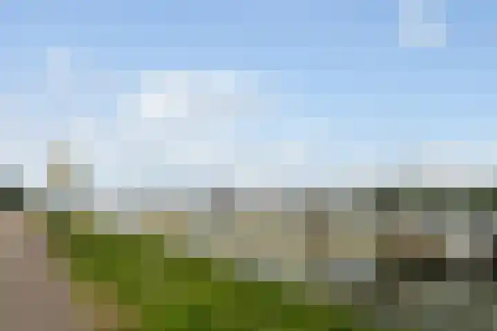 Uiterdijk 27 Pernis Rotterdam thumbnail 38