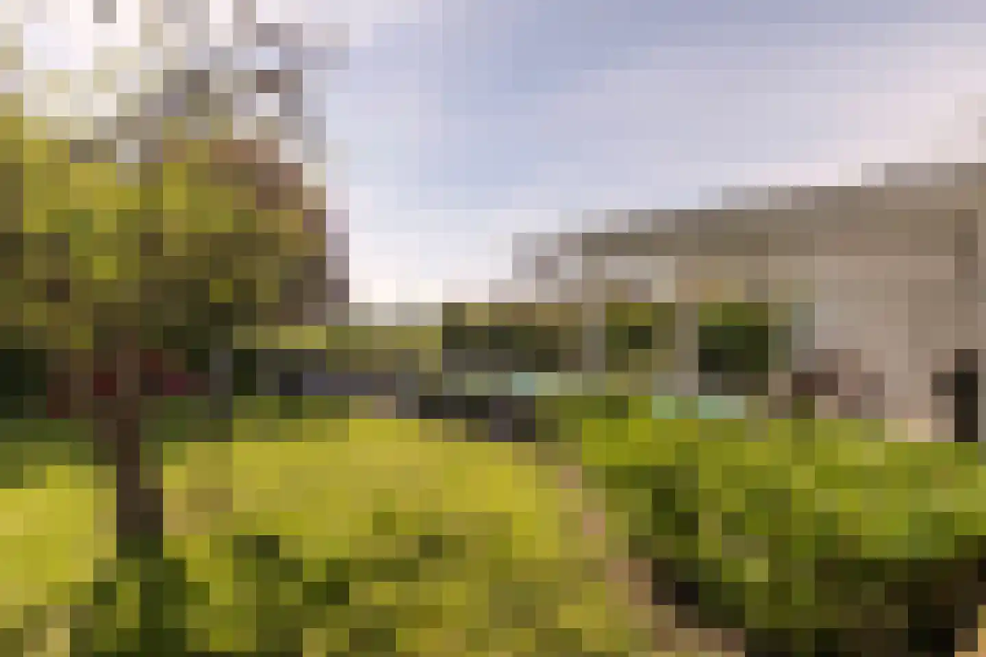 Uiterdijk 4 Zoelen thumbnail 10