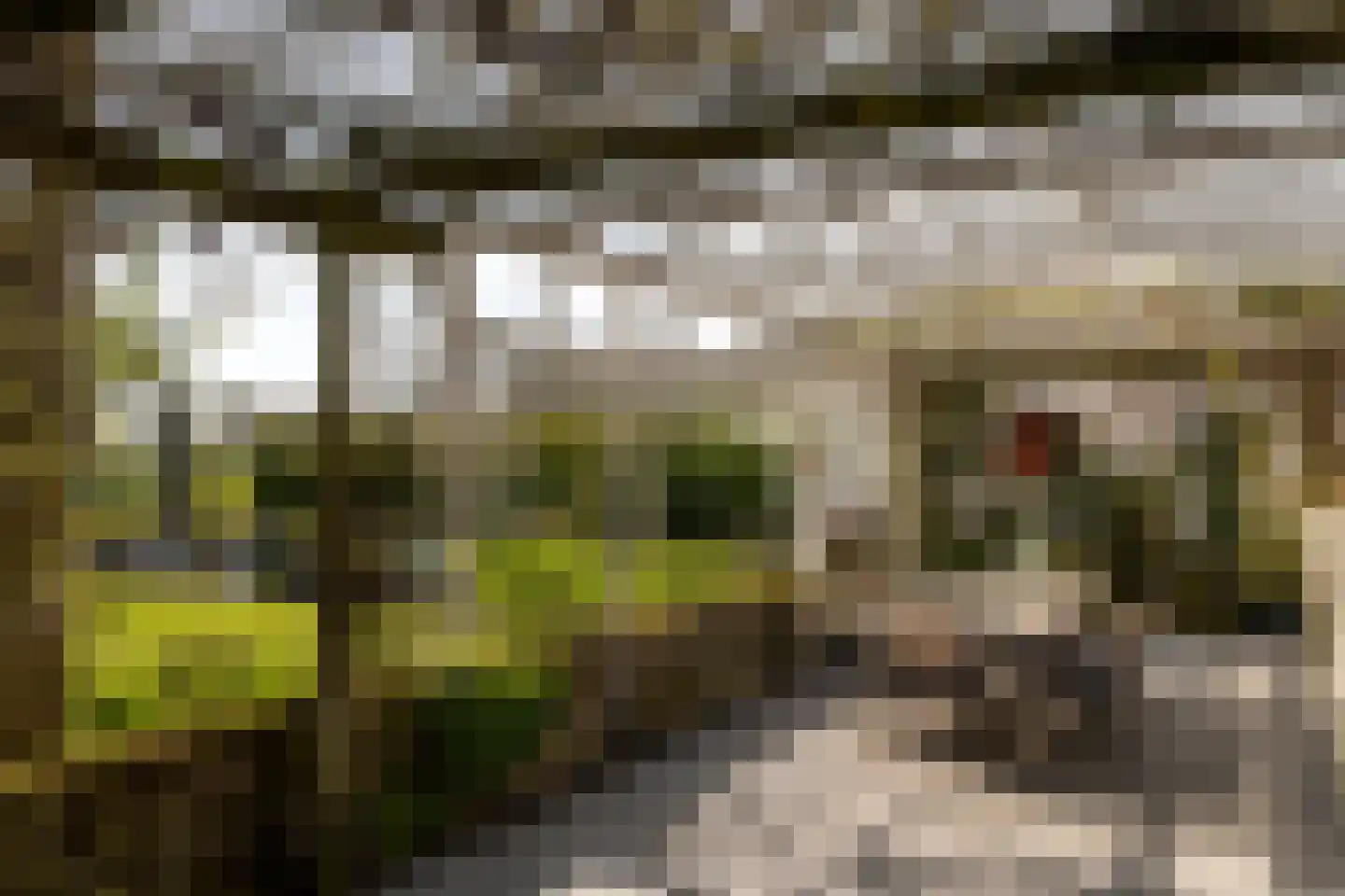 Uiterdijk 4 Zoelen thumbnail 12