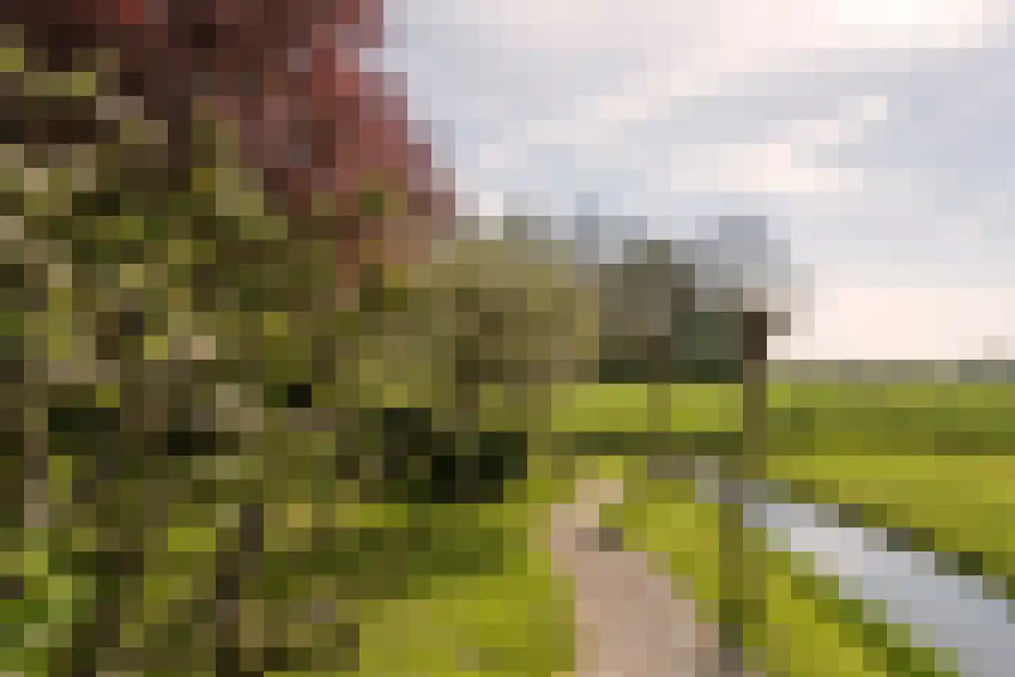 Uiterdijk 4 Zoelen thumbnail 14