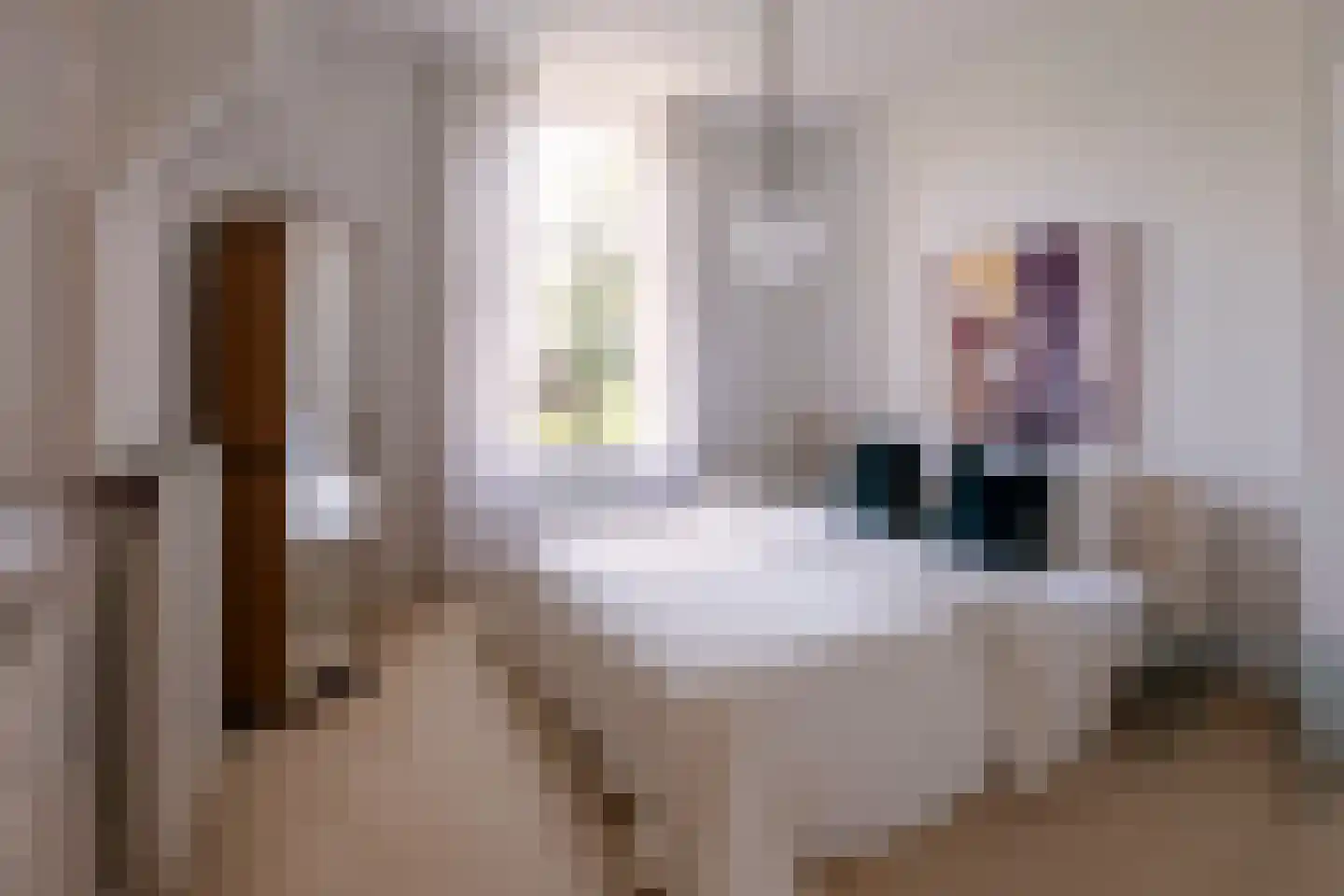 Uiterdijk 4 Zoelen thumbnail 19
