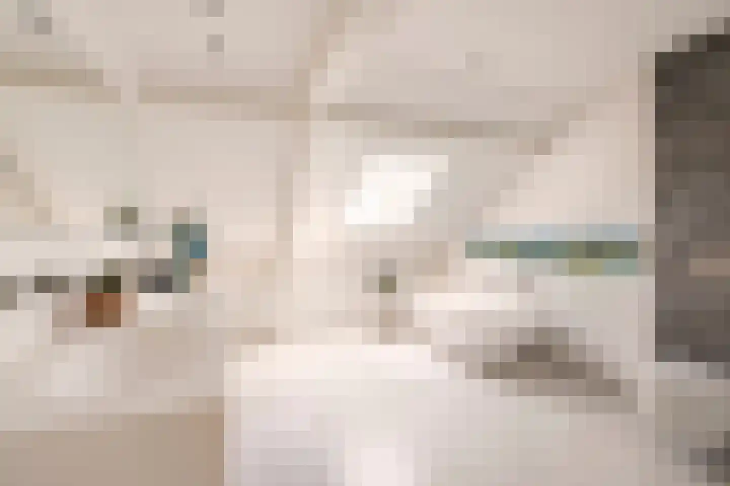 Uiterdijk 4 Zoelen thumbnail 21